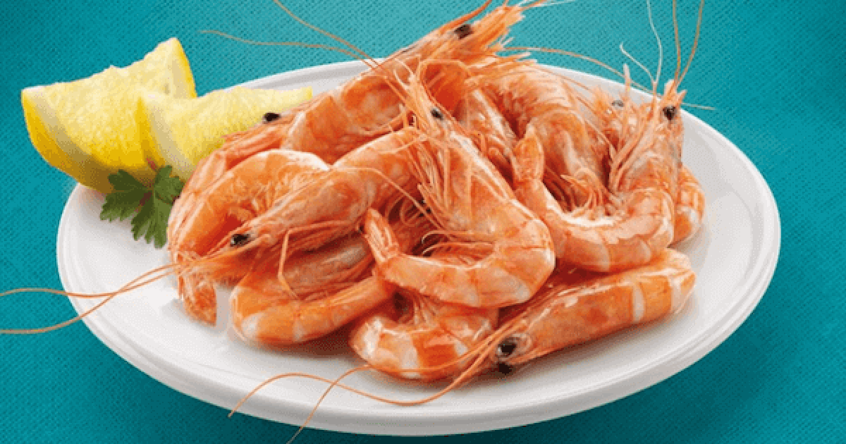 Cómo cocer gambas o camarones ? ¡frescos o congelados! Cocina y recetas fáciles